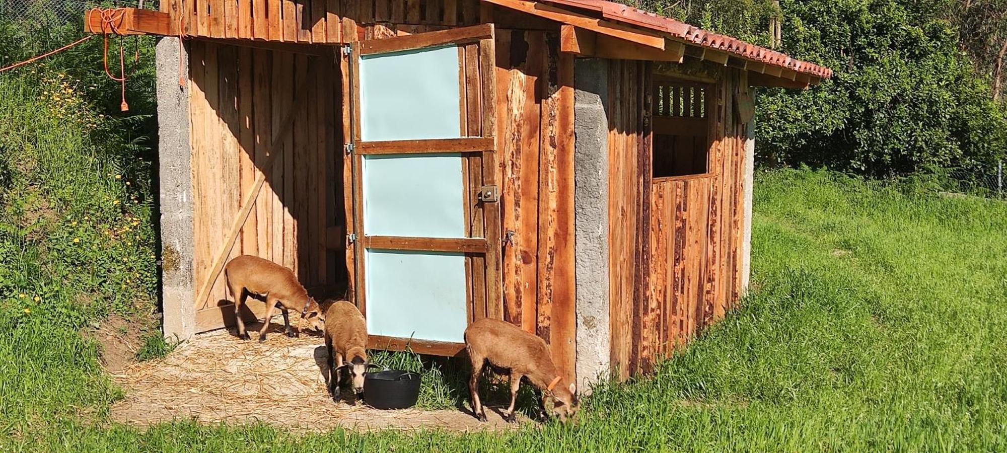 Quinta Da Tapada Daire Longos Dış mekan fotoğraf